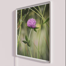 Load image into Gallery viewer, Vibrant Rainbow Colored Illustration of a Clovers Semi Realistic Neon Sign
