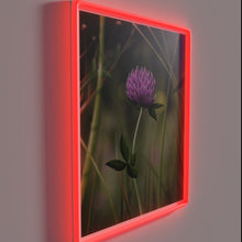 Load image into Gallery viewer, Vibrant Clovers in Bloom Semi Realistic Neon Sign Artwork Illumination