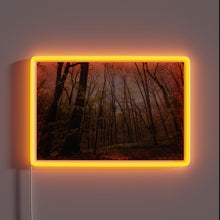 Load image into Gallery viewer, Softly glowing evening ambiance with vibrant color-changing LED neon lights.