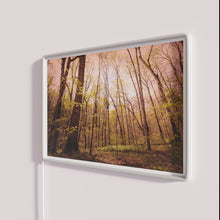 Load image into Gallery viewer, Vibrant Evening Ambiance with Color-Changing RGB Neon Wall Decor Accent