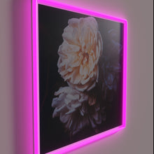 Load image into Gallery viewer, Softly Illuminated Evening Glow with Vibrant RGB Color Changing Neon Light.