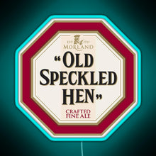 Load image into Gallery viewer, Old Speckled RGB neon sign lightblue