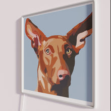 Load image into Gallery viewer, Glowing Pharaoah Hound Symbolic Artful Neon Decorative Sign Illumination Display
