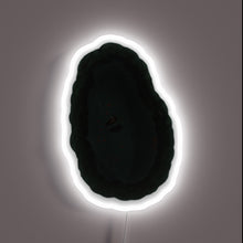 Load image into Gallery viewer, Add vibrant neon glow to your pond with color-changing LED lights