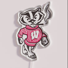 Load image into Gallery viewer, Vibrant Wisconsin themed stoned bucky badger rgb neon light decoration