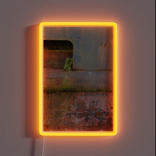 Load image into Gallery viewer, Compact neon lighting kit with customizable RGB color options