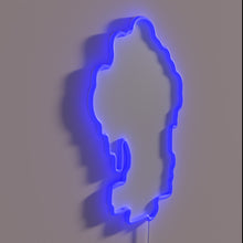 Load image into Gallery viewer, Vibrant RGB Neon Sign for Tree House Brewing Co Fans Only