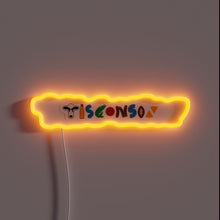 Load image into Gallery viewer, Wisconsin-themed compilation of RGB colors in neon illuminated design