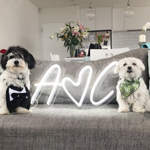 Load image into Gallery viewer, Personalised Initials led
