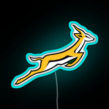 Load image into Gallery viewer, Springbok RGB neon sign lightblue