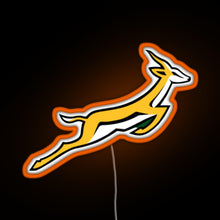 Load image into Gallery viewer, Springbok RGB neon sign orange