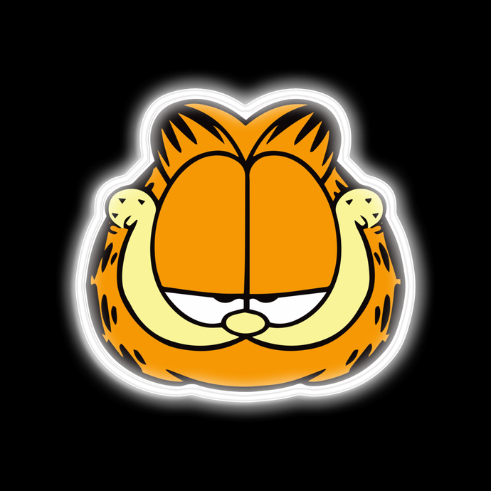 Garfield's face neon sign USD165
