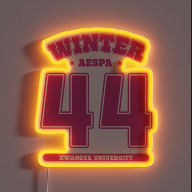 Essential Aespa Winter Merchandise for Enthusiastic K-Pop Fans and Collectors