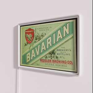 Vibrant German-inspired RGB illuminated beer sign with authentic Bavarian flair.