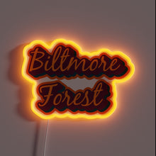 Load image into Gallery viewer, Brightly lit Biltmore Forest District of Asheville, Western North Carolina