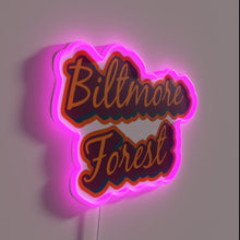 Load image into Gallery viewer, Beautifully designed Biltmore Forest District of Asheville North Carolina RGB neon.
