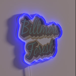 Brightly illuminated neon sign featuring iconic Biltmore Forest map in Asheville