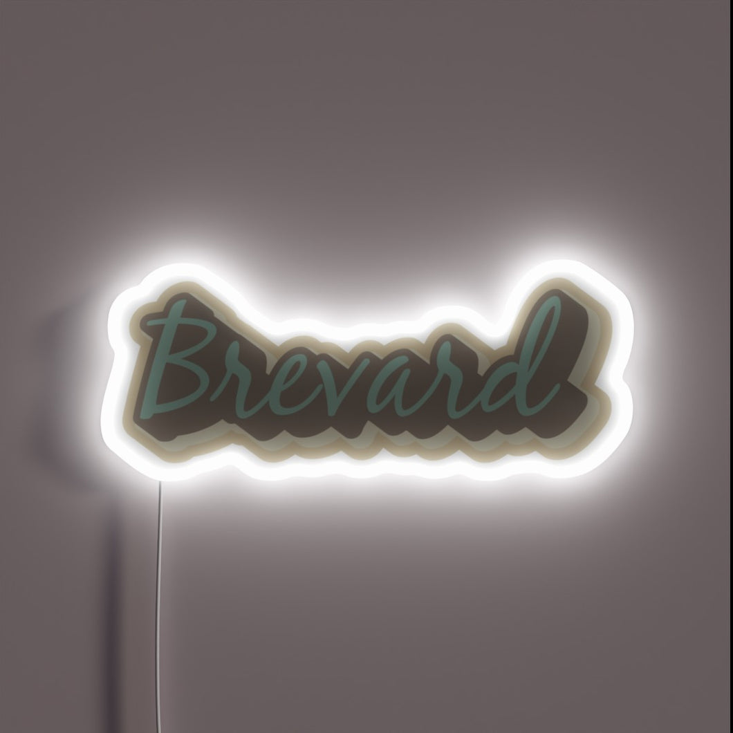 Brightly colored neon sign featuring Asheville's vibrant colors and charm