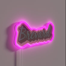 Load image into Gallery viewer, North Carolina Mountain Charm: Handcrafted Asheville WNC Neon Sign Artwork