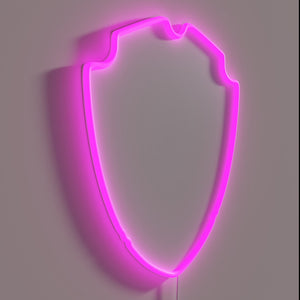 RGB Neon Sign: BrewDog UK Beer 25 Logo Illumination