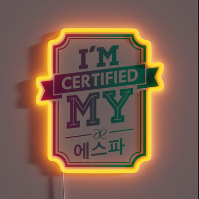 Aesthetic certified K-pop fan room decor with vibrant color-changing lighting.