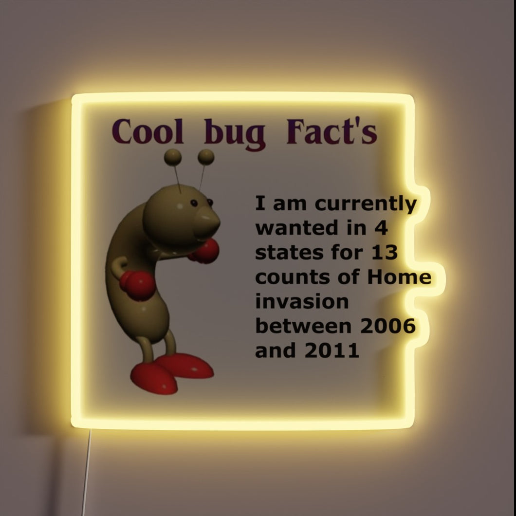 Colorful home decor with educational insect facts in neon design.