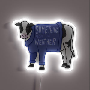 Neon Sign: Quirky Bovine Fashionistas in Rainbow Hued Sweaters