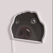 Load image into Gallery viewer, Curious Black Lab Puppy RGB neon sign, side view with lights off showing acrylic backing and LED tube