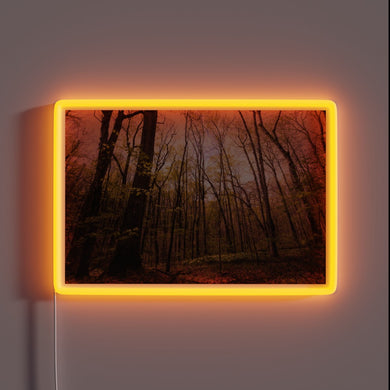 Softly glowing evening ambiance with vibrant color-changing LED neon lights.