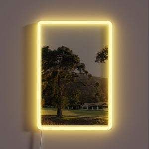 Dramatic evening ambiance with vibrant color-changing LED glow effect