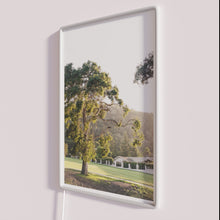 Load image into Gallery viewer, Vibrant evening ambiance with customizable color changing LED neon signage display.