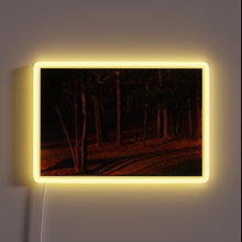 Load image into Gallery viewer, Elegant LED display emits vibrant colors in radiant evening ambiance.