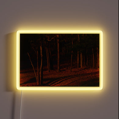 Elegant LED display emits vibrant colors in radiant evening ambiance.