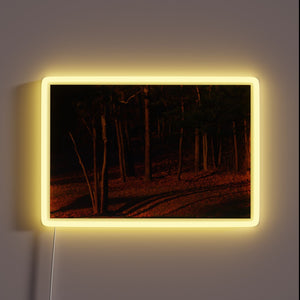 Elegant LED display emits vibrant colors in radiant evening ambiance.