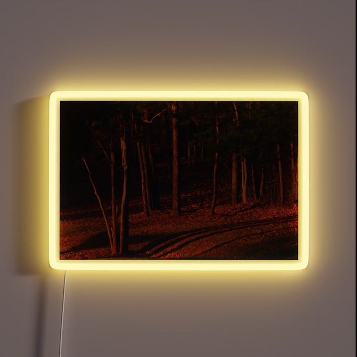 Elegant LED display emits vibrant colors in radiant evening ambiance.