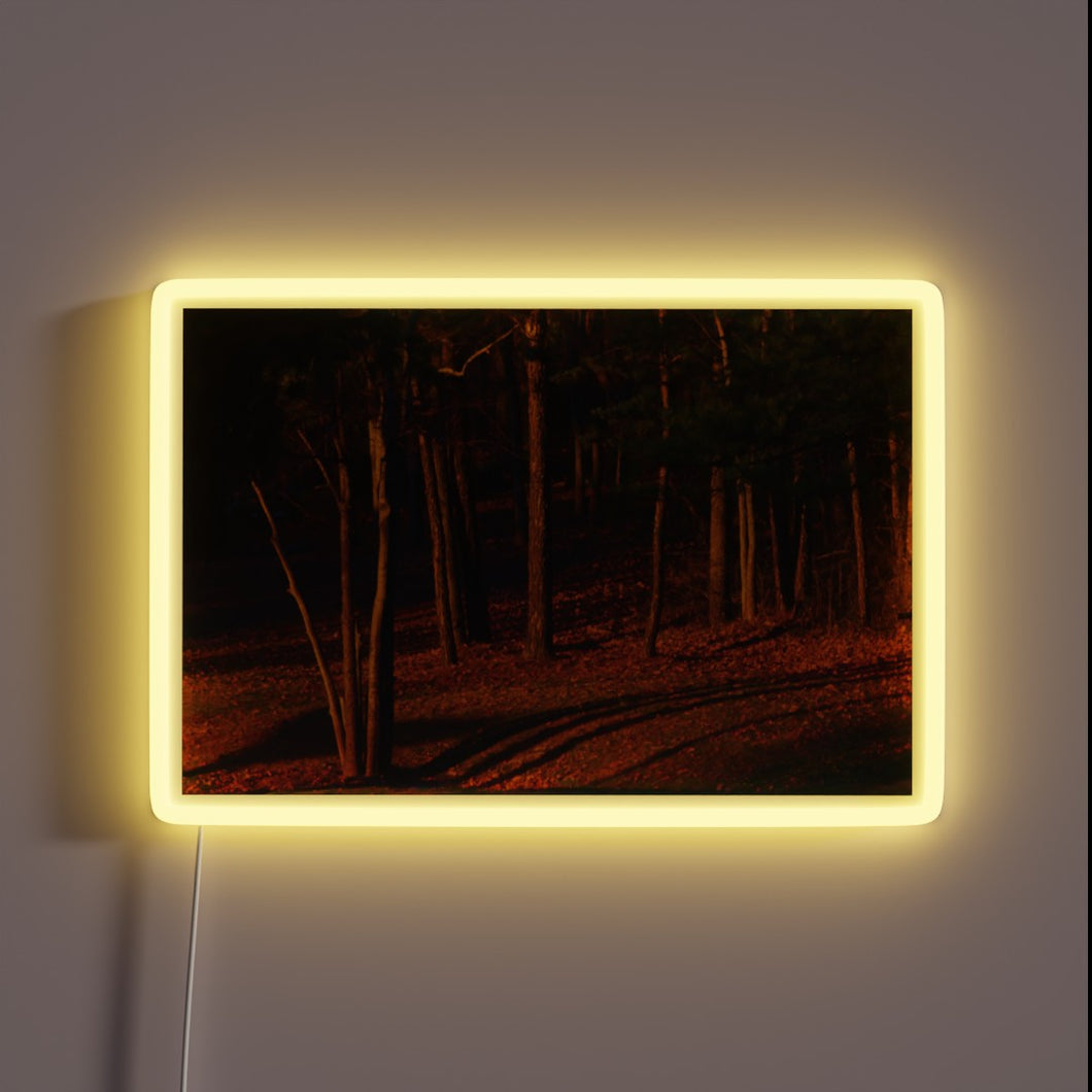 Elegant LED display emits vibrant colors in radiant evening ambiance.