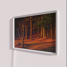 Load image into Gallery viewer, Vibrant evening ambiance with programmable color changing RGB LED neon signs.