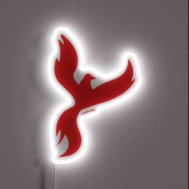 Elegant, customizable LED light display with vibrant color options available