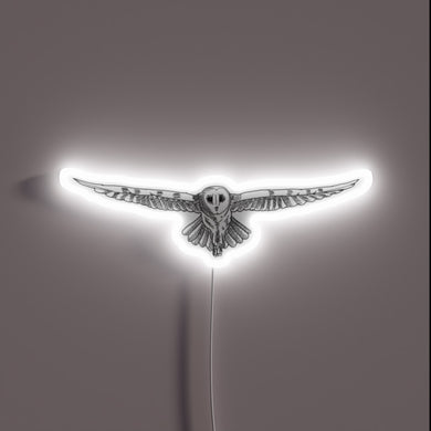 Winged wisdom shines bright with vibrant RGB glowing neon lights