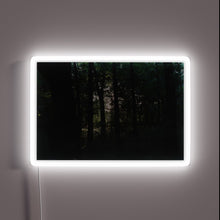 Load image into Gallery viewer, Soft glowed colorful LED lights bring ambiance to your space