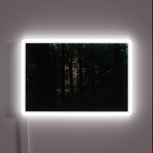 Soft glowed colorful LED lights bring ambiance to your space