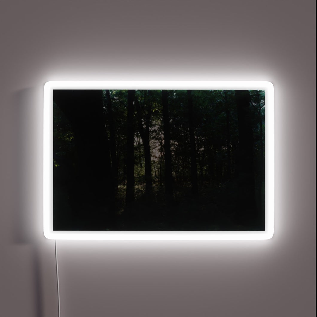 Soft glowed colorful LED lights bring ambiance to your space