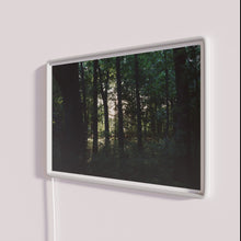 Load image into Gallery viewer, Vibrant forest ambiance with full color RGB LED neon lighting