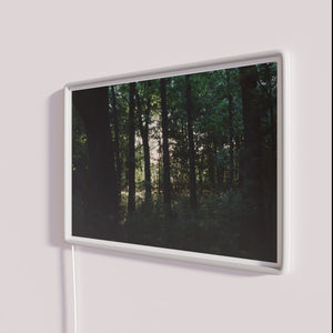 Vibrant forest ambiance with full color RGB LED neon lighting