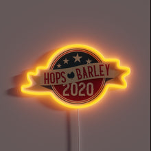 Load image into Gallery viewer, Humorously highlighting America&#39;s divisive politics in 2020 election satire