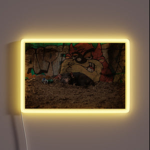 Vibrant neon sign featuring a hungover Tasmanian devil in color.