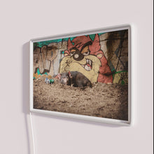 Load image into Gallery viewer, Brighten up your bachelor pad with Tasmanian devil humor neon