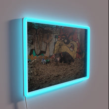 Load image into Gallery viewer, Tasmanian devil&#39;s mischievous morning after vibe in vibrant RGB glow