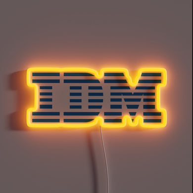 Eye-catching IDM computer logo illuminated by vibrant RGB neon lights.