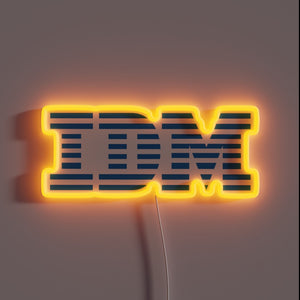 Eye-catching IDM computer logo illuminated by vibrant RGB neon lights.